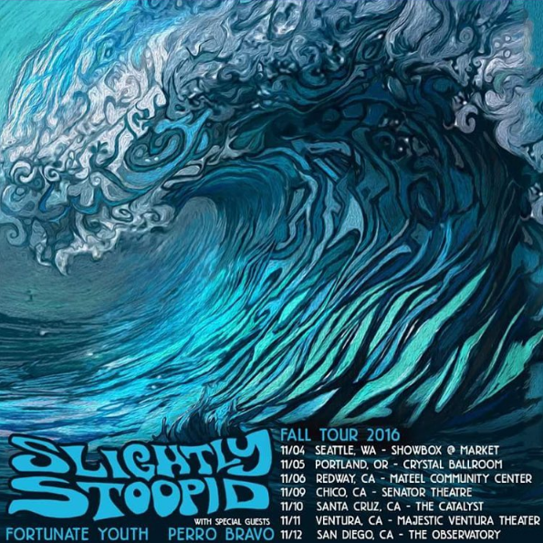 Slightly Stoopid Fall Tour Art Slightly Stoopid Art by Jay Alders