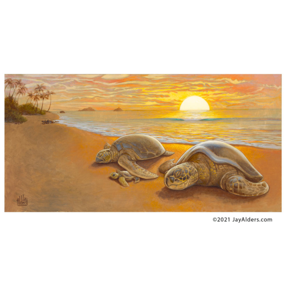 Sea turtle family original oil painting titled "Hatchling" by Jay Alders