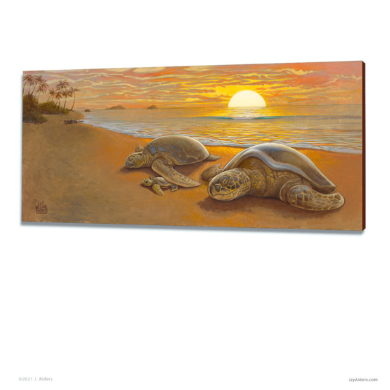 Hatchling - Art on canvas of a sea turtle family on a Hawaiian beach at sunset by artist Jay Alders