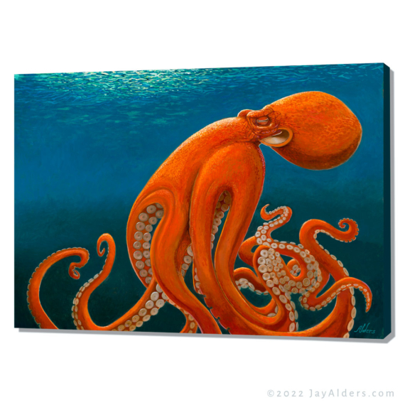 Octopus modern art print on canvas. Giant pacific octopus painting on canvas by Jay Alders