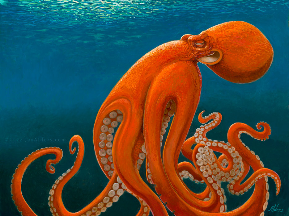 Tentacles - Octopus Art by Artist Jay Alders - Prints, & Merch