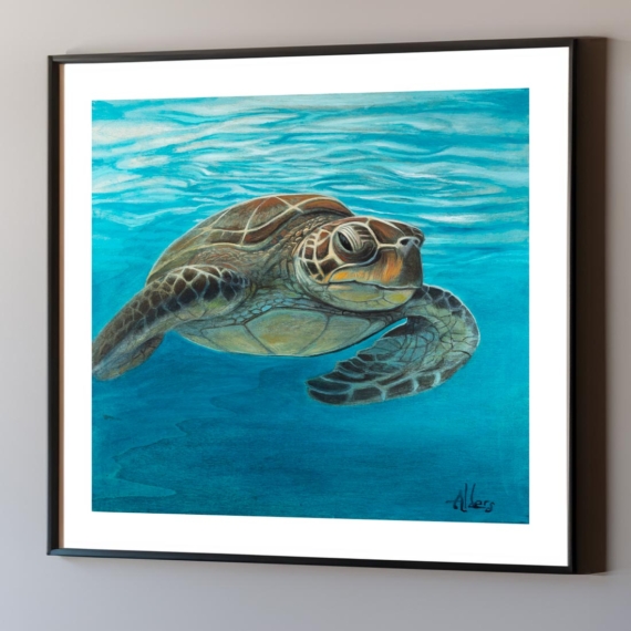 Turquoise Serenade - Sea Turtle Art Print by Jay Alders