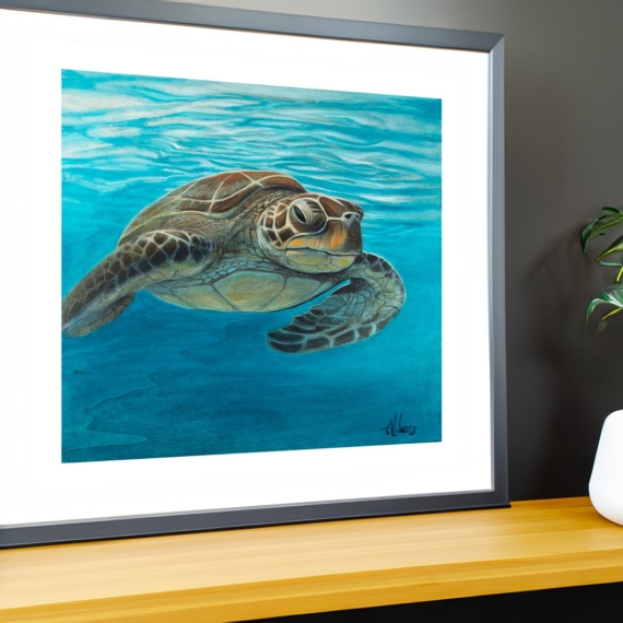 Sea turtle art print limited edition by contemporary artist Jay Alders